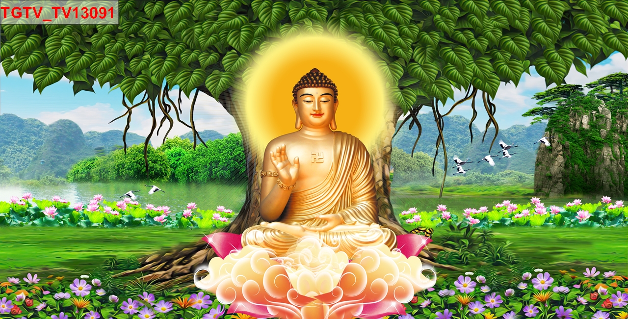 tranh dán tường cây bồ đề